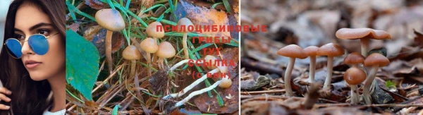 марихуана Заводоуковск
