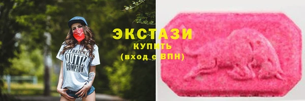 индика Переславль-Залесский