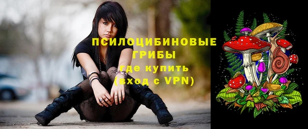 прущий лед Пересвет