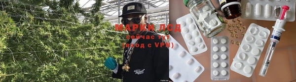 герыч Ельня