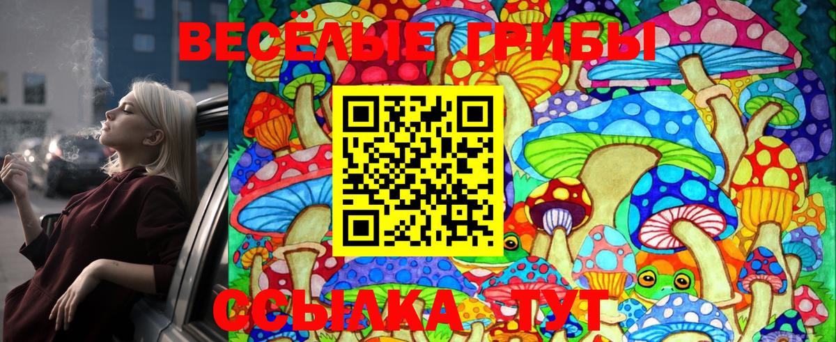 Галлюциногенные грибы MAGIC MUSHROOMS Саяногорск