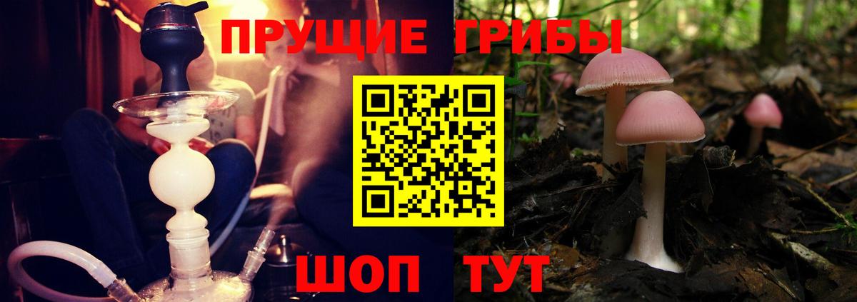магазин продажи   Псилоцибиновые грибы Cubensis  Вход с VPN  Псилоцибиновые грибы MAGIC MUSHROOMS  Саяногорск 